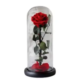 Beauty And The Beast - Red